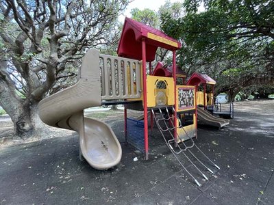 🌳 신도심 공원(신토신 코우엔)